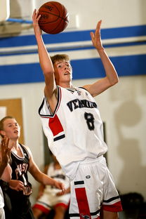 九游娱乐入口-中国青少年篮球发展区域差异及均衡发展策略研究，《中国青少年篮球训练教学大纲》